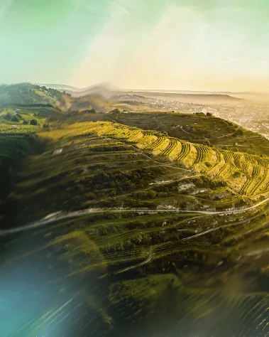 Blick vom Schreckberg über die Weinberge auf Krems und die Donau in der Wachau