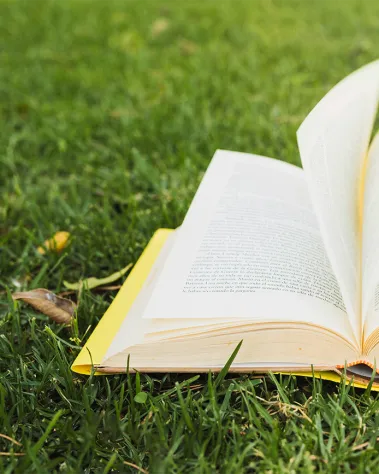 Buch auf der Liegewiese Mirador